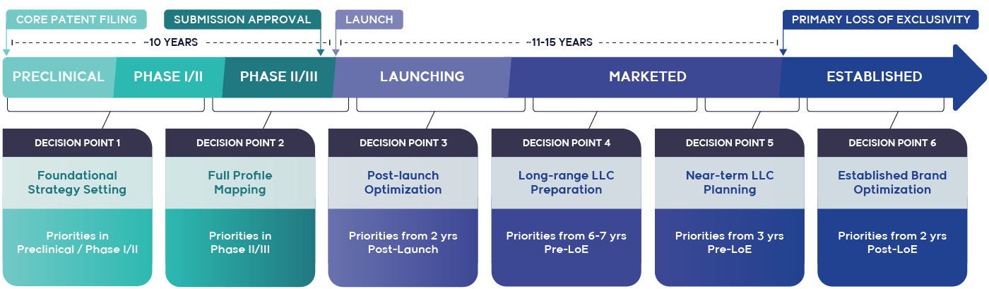 Six Strategy Decision Points for Effective Lifecycle Management
