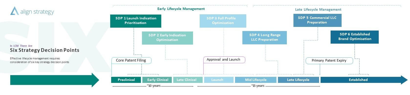 Six Strategy Decision Points for Effective Lifecycle Management